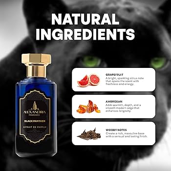 Amazon.com : Alexandria Fragrances Black Panther Perfume - Long